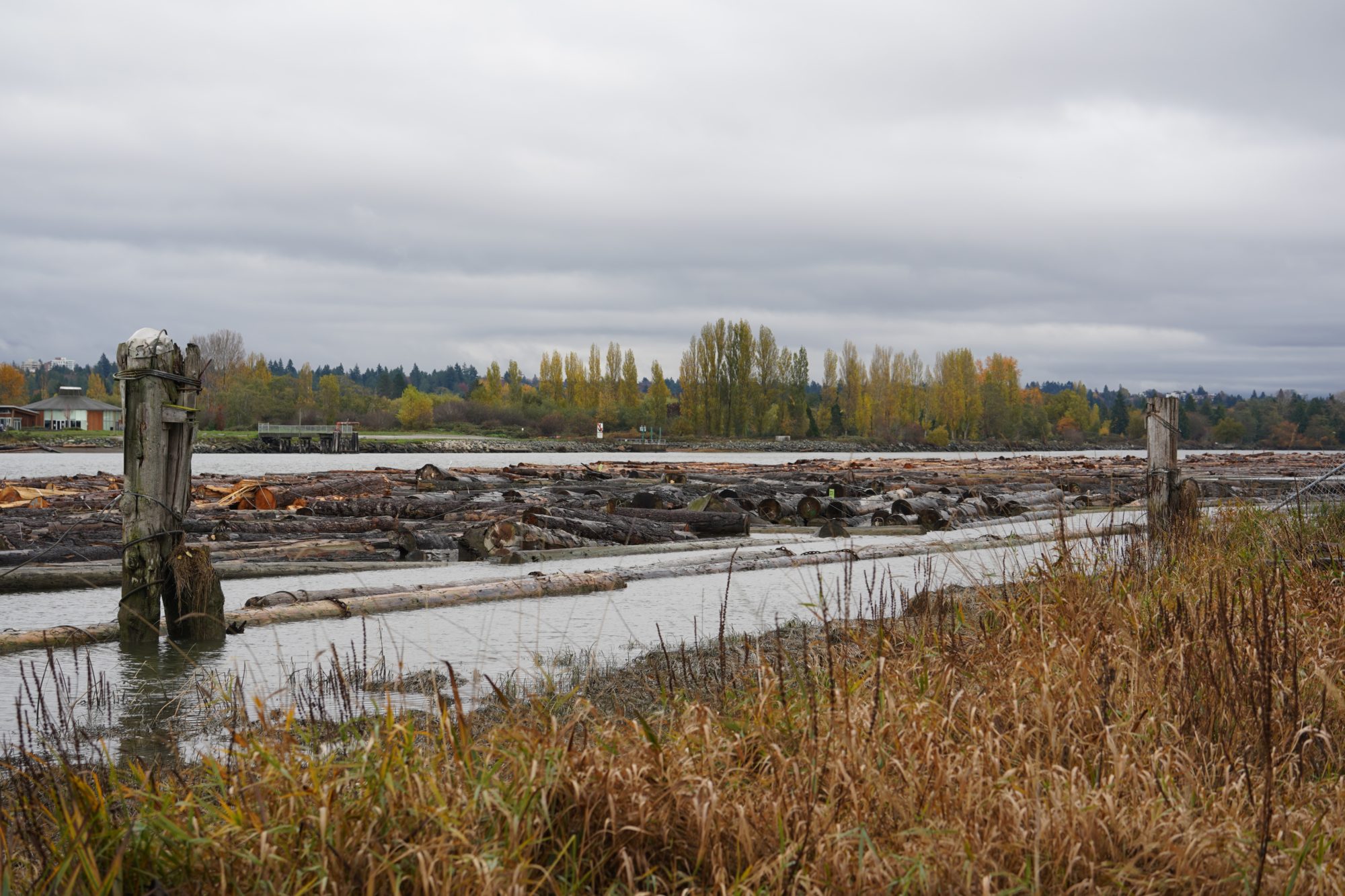 Fraser River