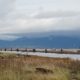 Along the north jetty
