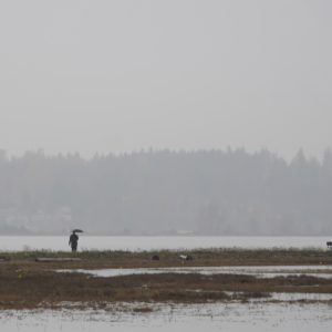 Walking on the spit in the rain