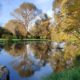 Arboretum