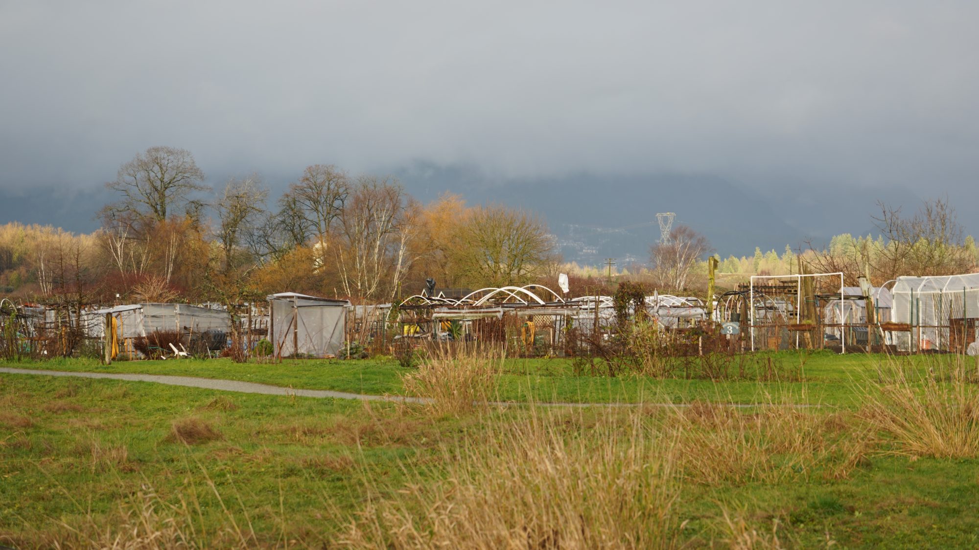 Colony Farm