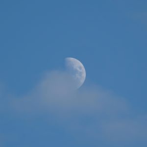 Half moon and cloud
