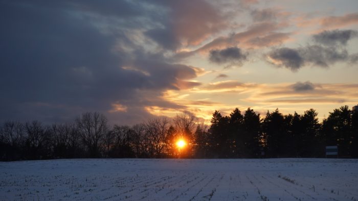 Central Experimental Farm sunset