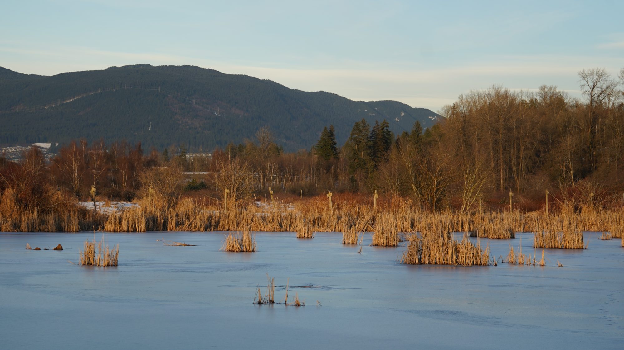 Frozen pond