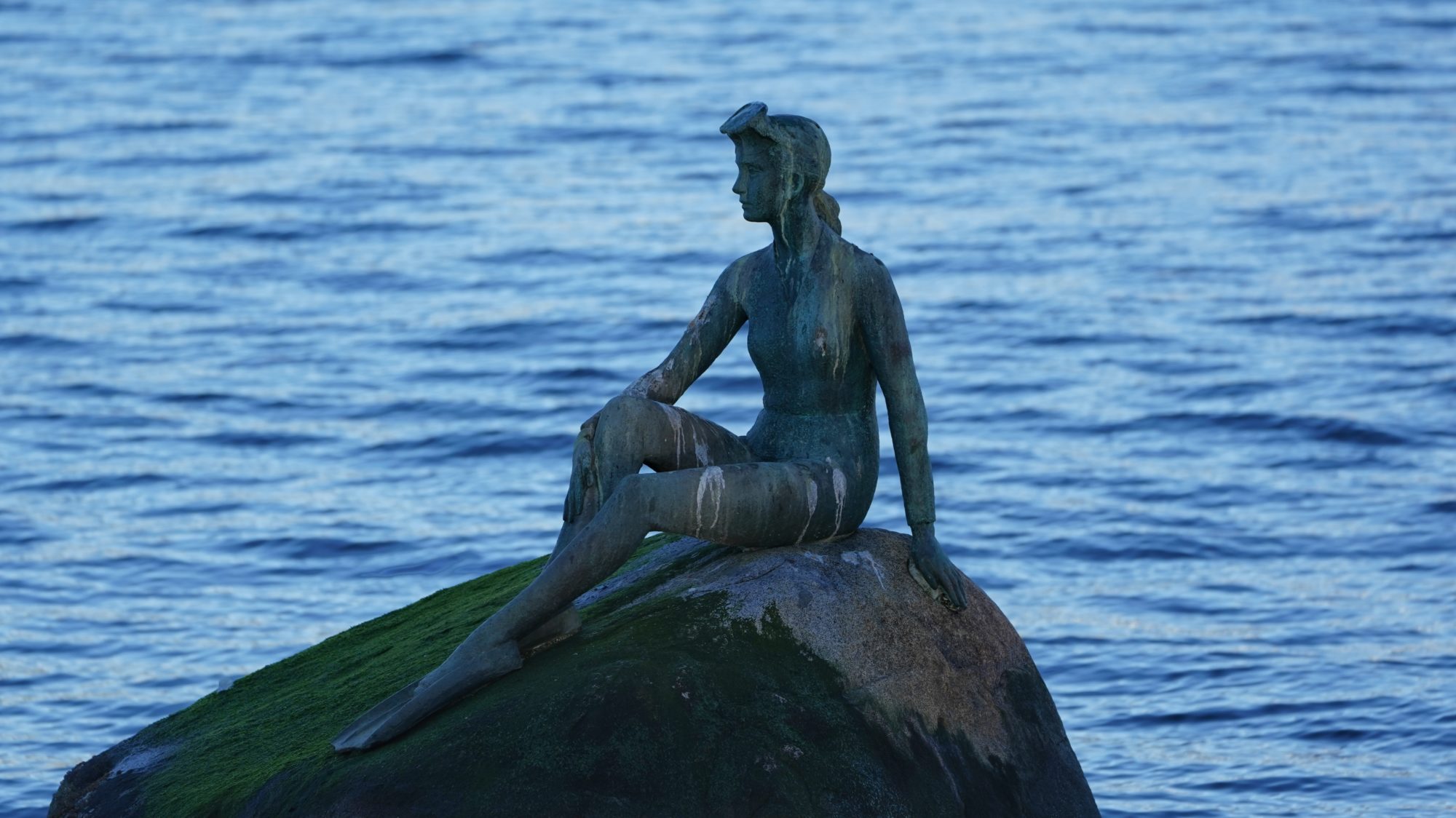 Girl in a Wetsuit