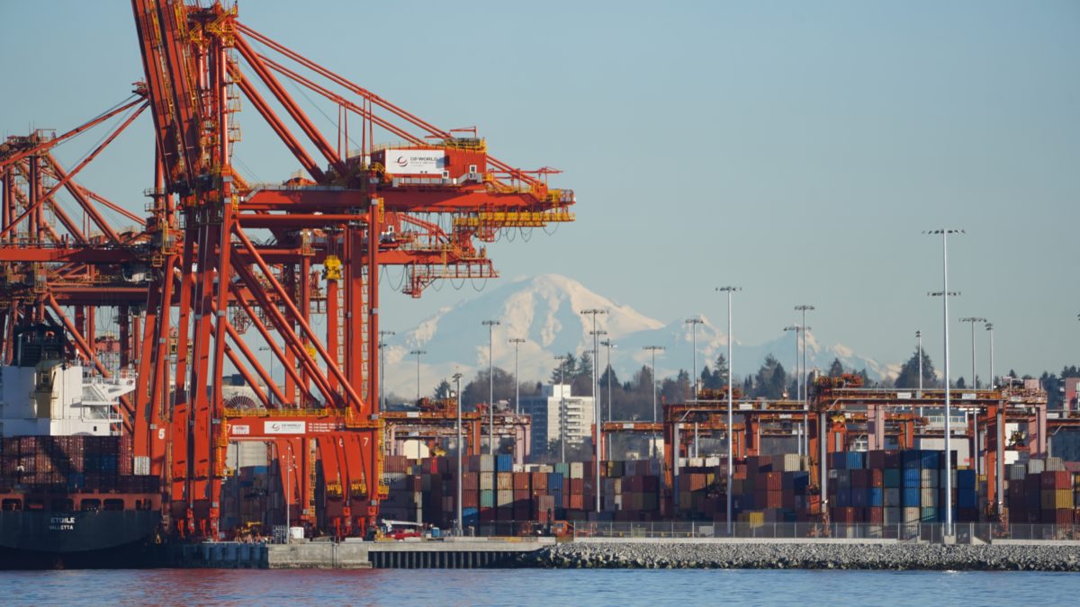 Cranes and Mount Baker