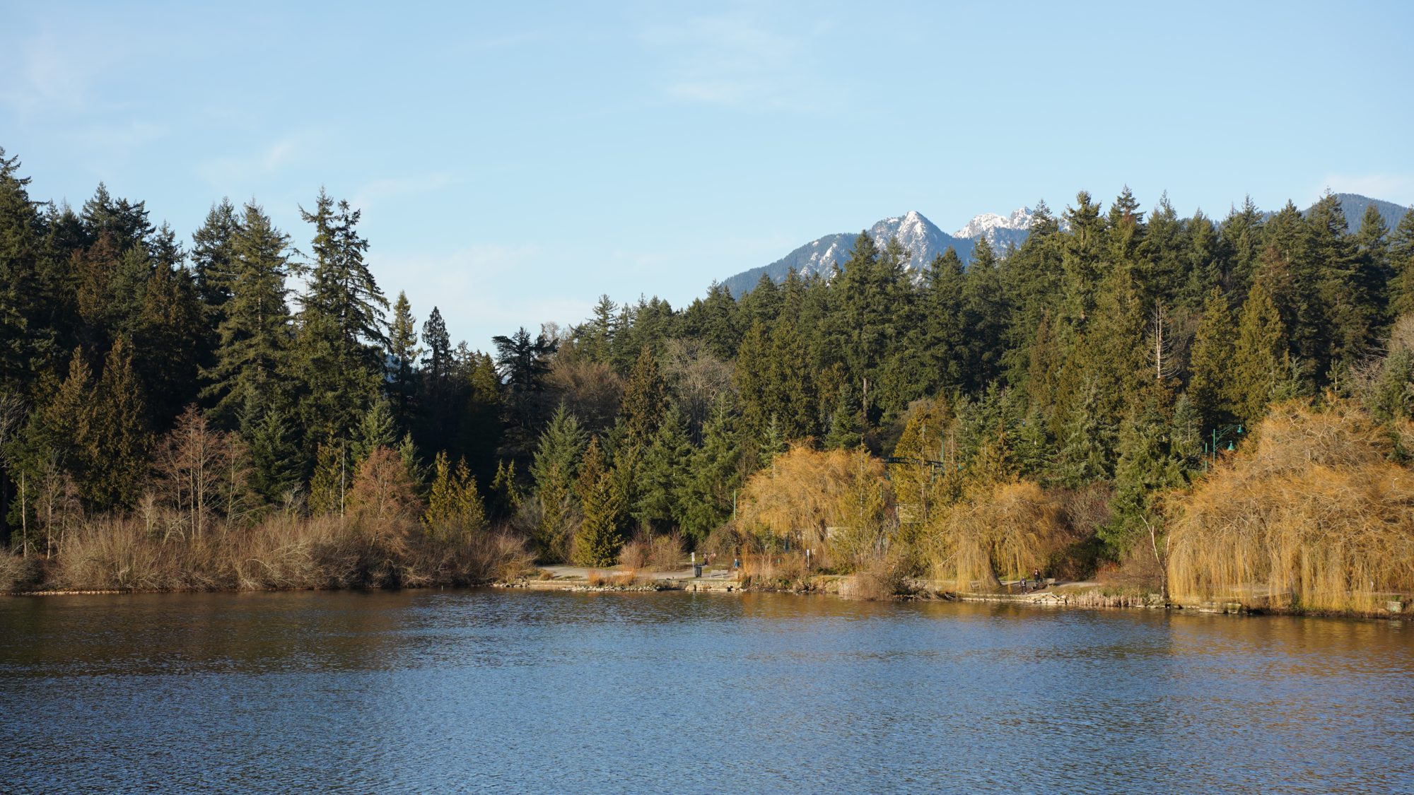 Lost Lagoon