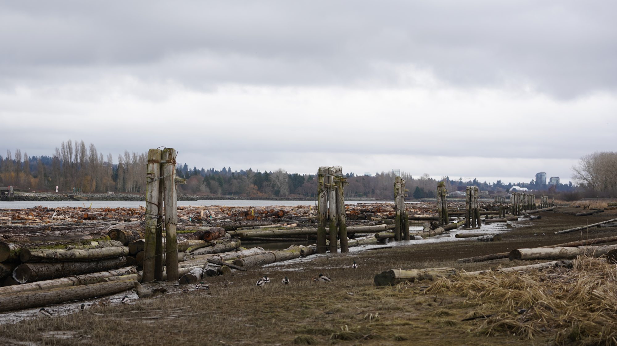 Fraser River