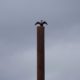 Cormorant on a pillar