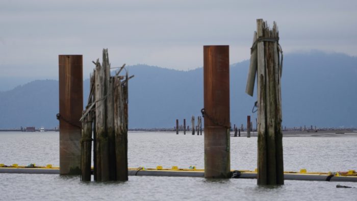 A few pilings