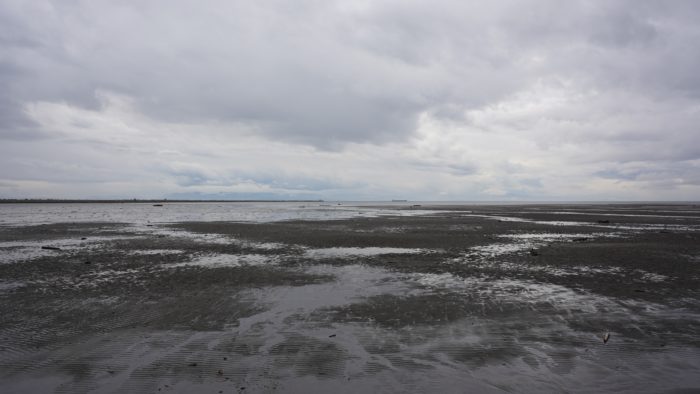 Low tide