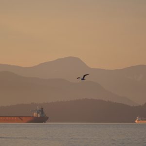 Golden mountains
