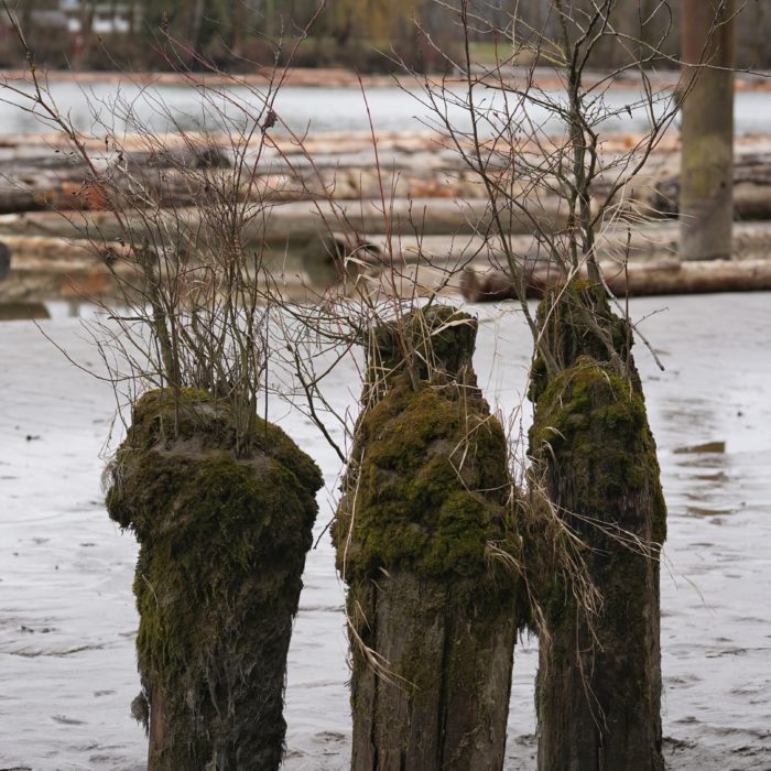 Pilings