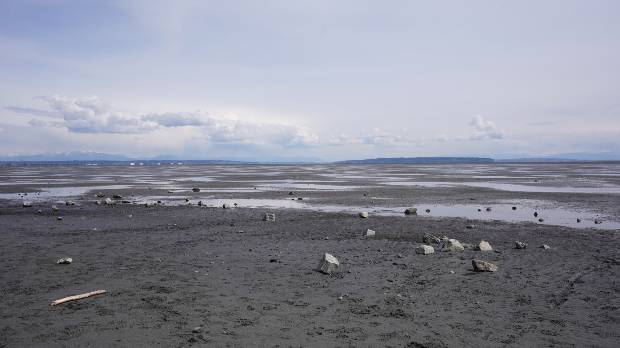 Boundary Bay