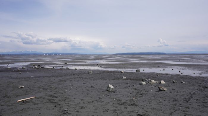 Boundary Bay