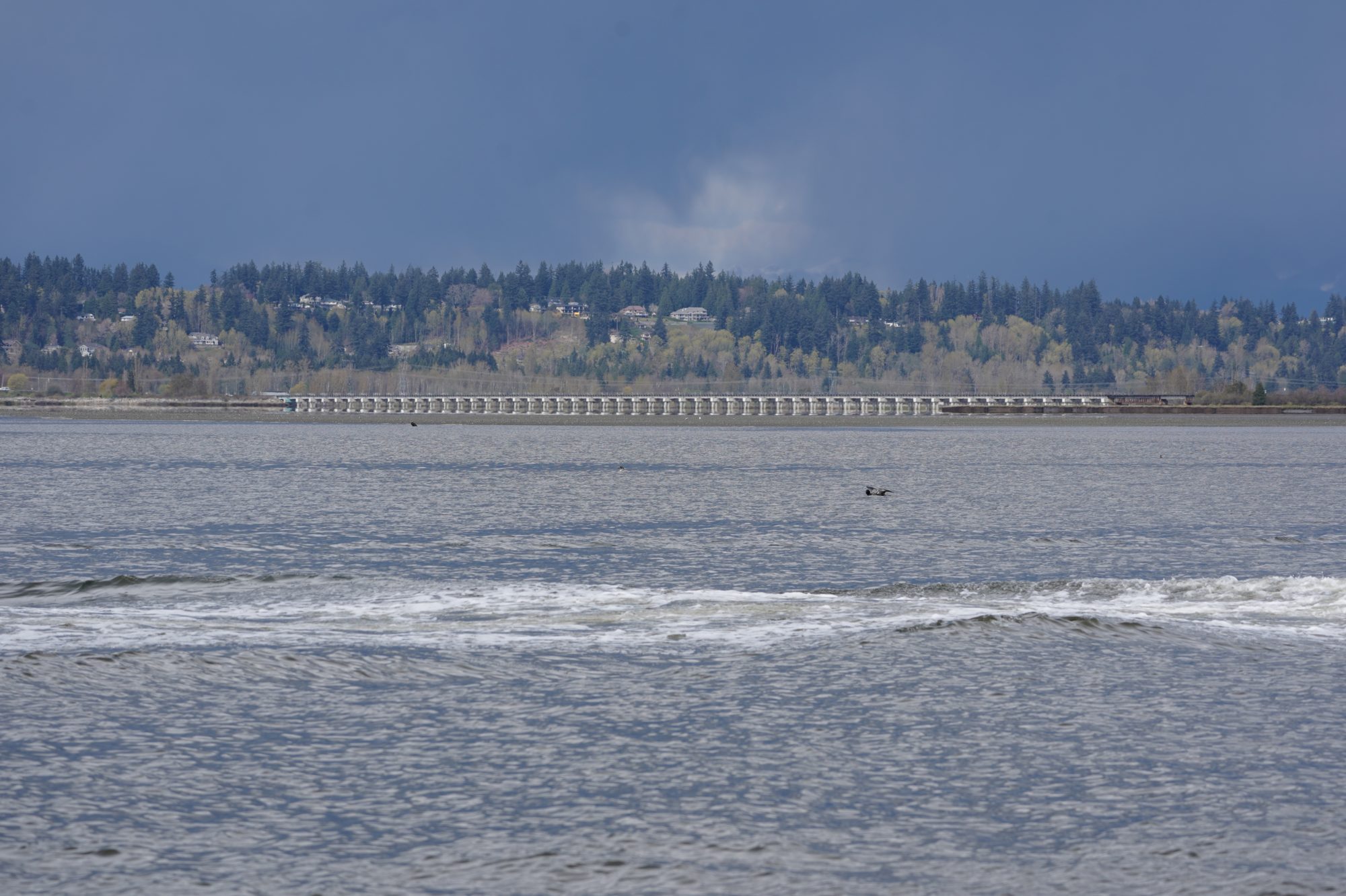 Bridge and wake