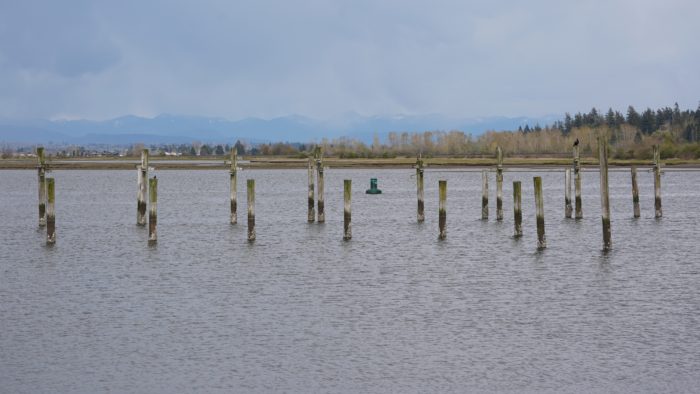 Pilings