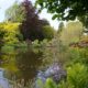 Claude Monet House, pond