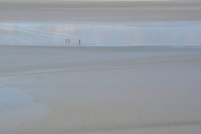 Horses out in the bay