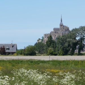 Farm and Mont