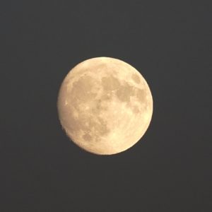 Almost full moon