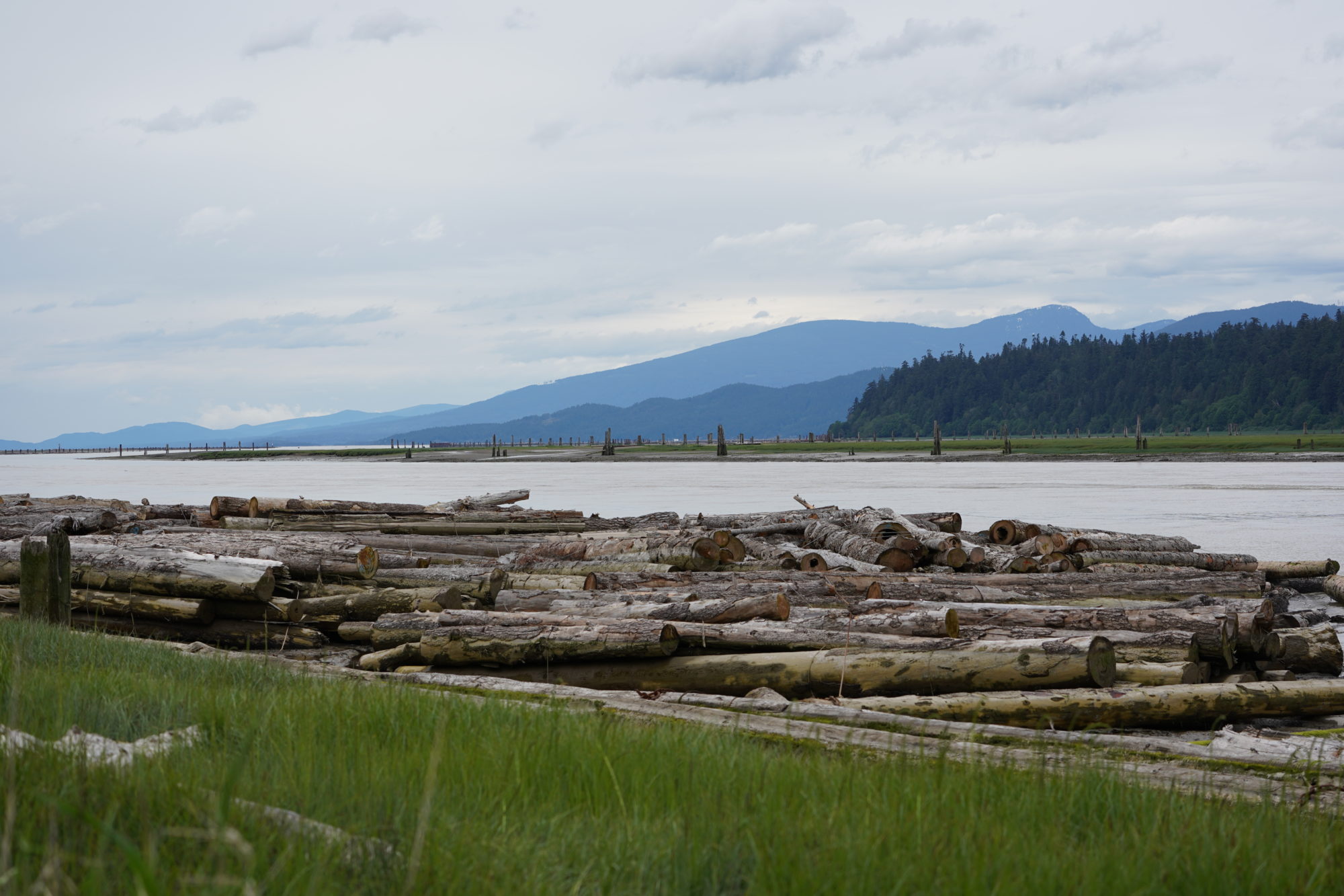 Fraser River at Iona Beach