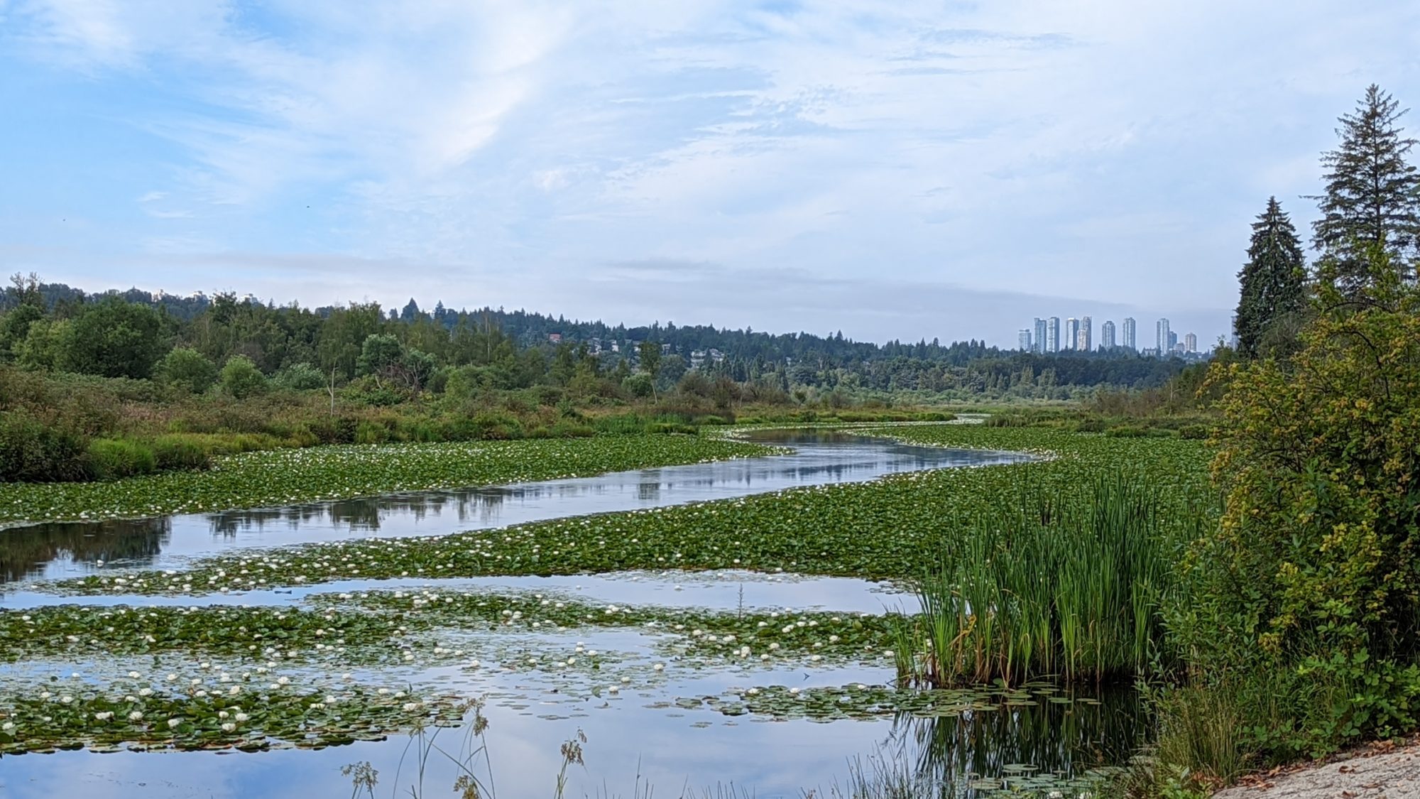 Burnaby Lake