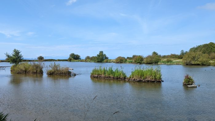 Reifel scenery