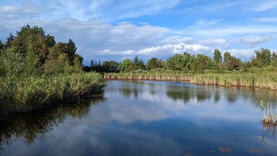 Terra Nova pond