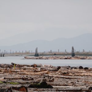 Fraser River