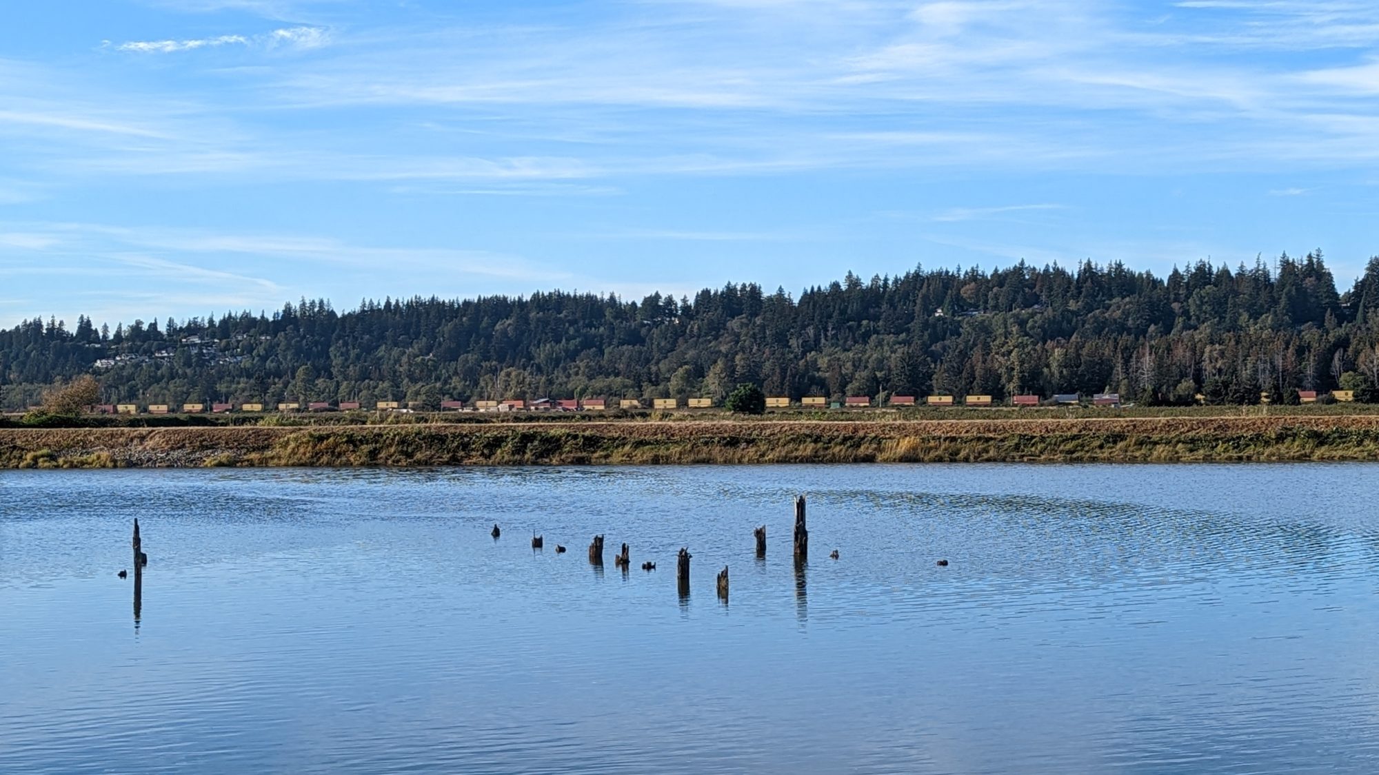 Serpentine River