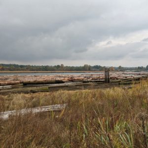 Fraser River