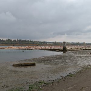 Fraser River