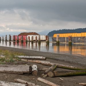 Barges and pilings