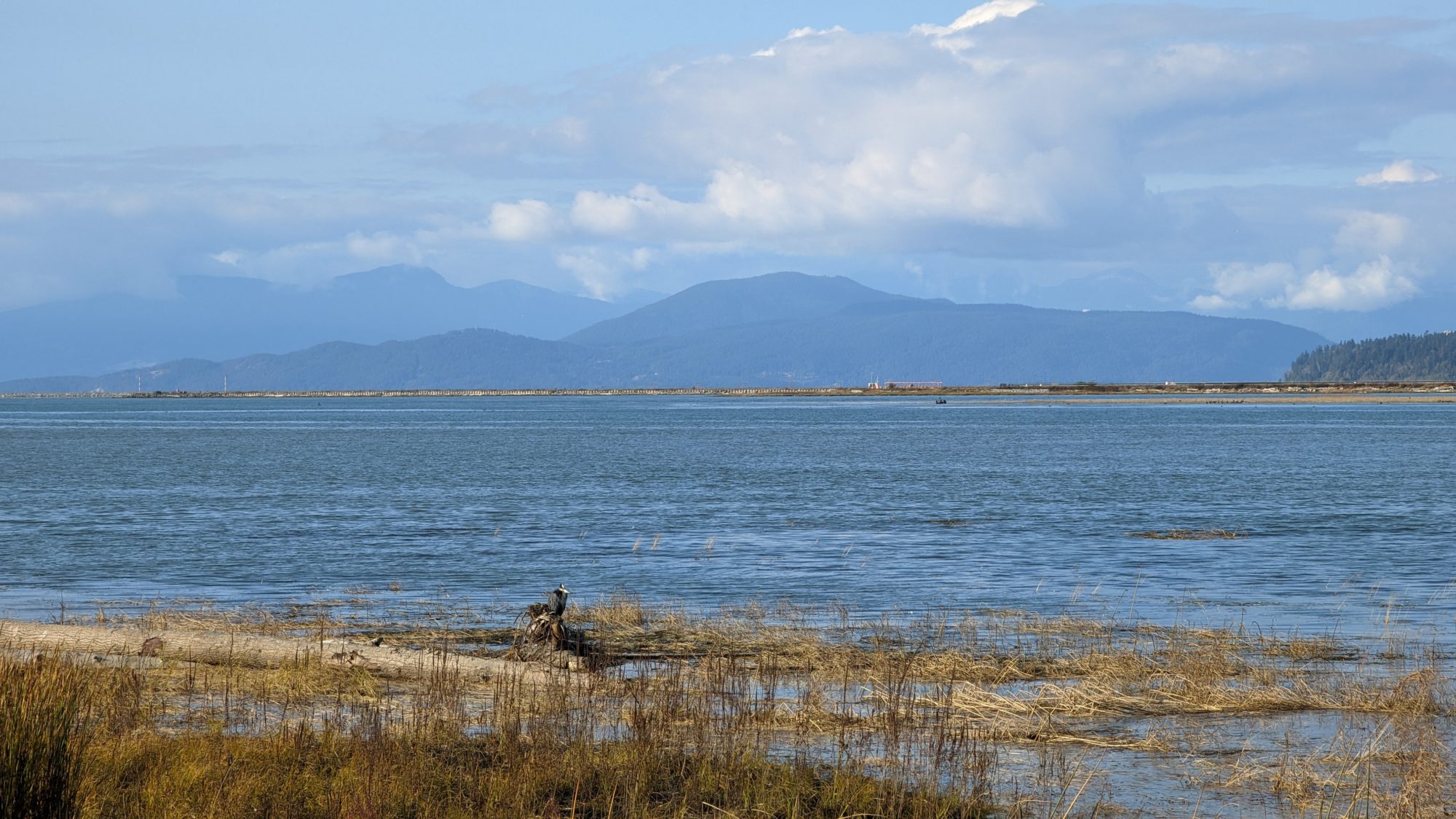 View from Terra Nova Park