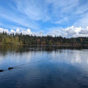 Lost Lagoon