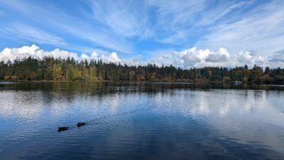 Lost Lagoon