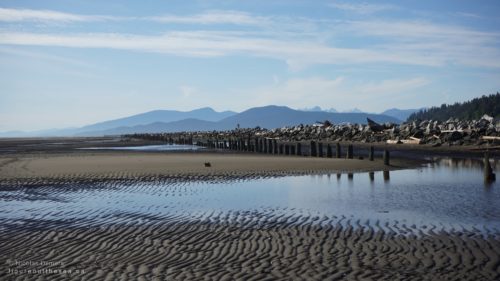 Iona Beach jetty and rippled sand