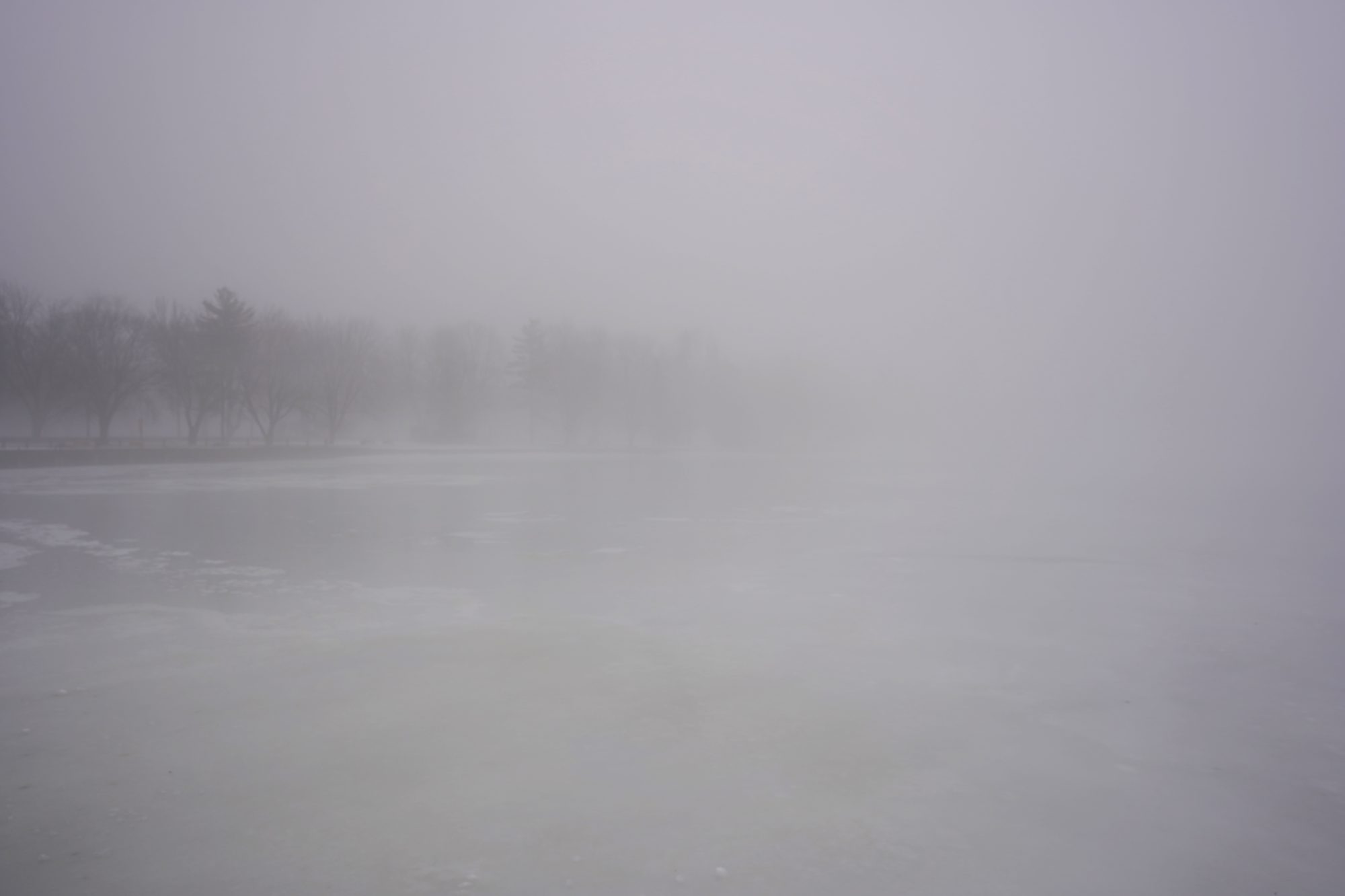 Dow's Lake in the fog