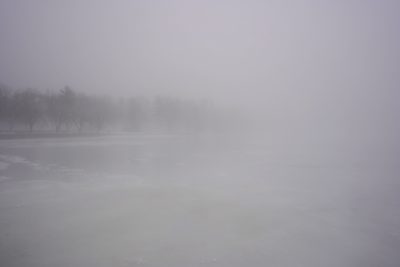 Dow's Lake in the fog