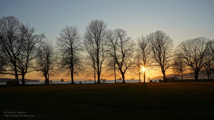 Sunset behind trees on Second Beach