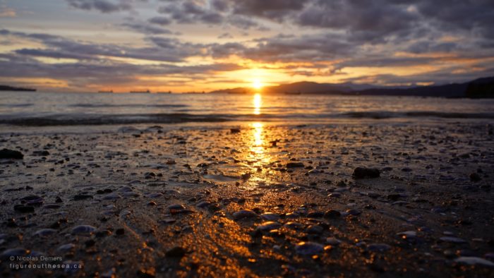 Sunset reflected on low tide beach