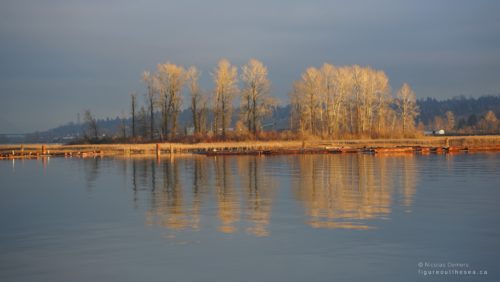 Island on the Fraser