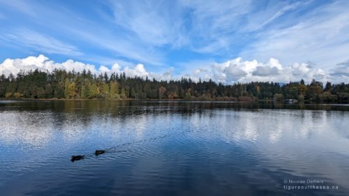 Lost Lagoon