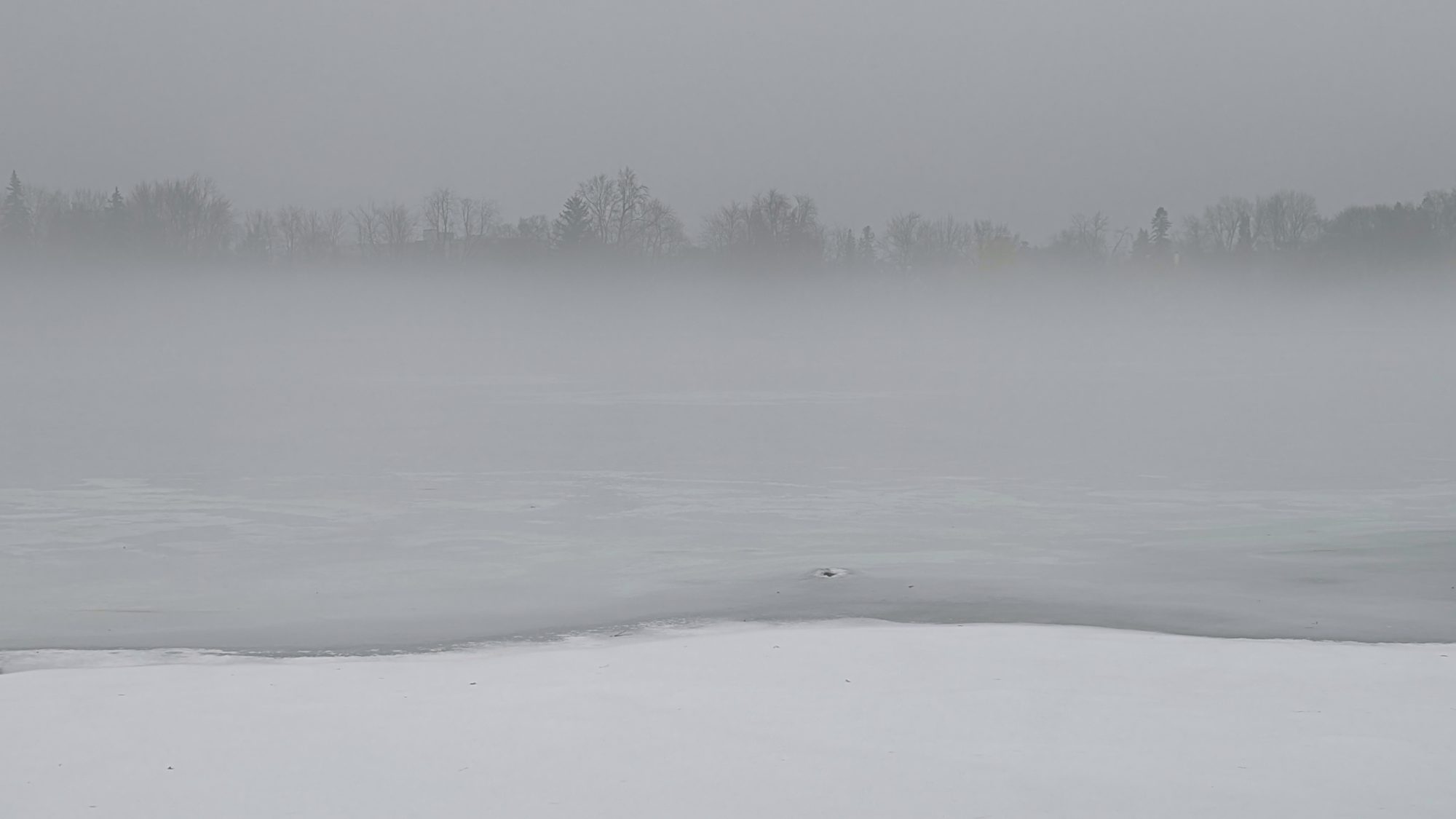 Dow's Lake in the fog