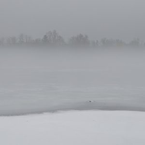 Dow's Lake in the fog