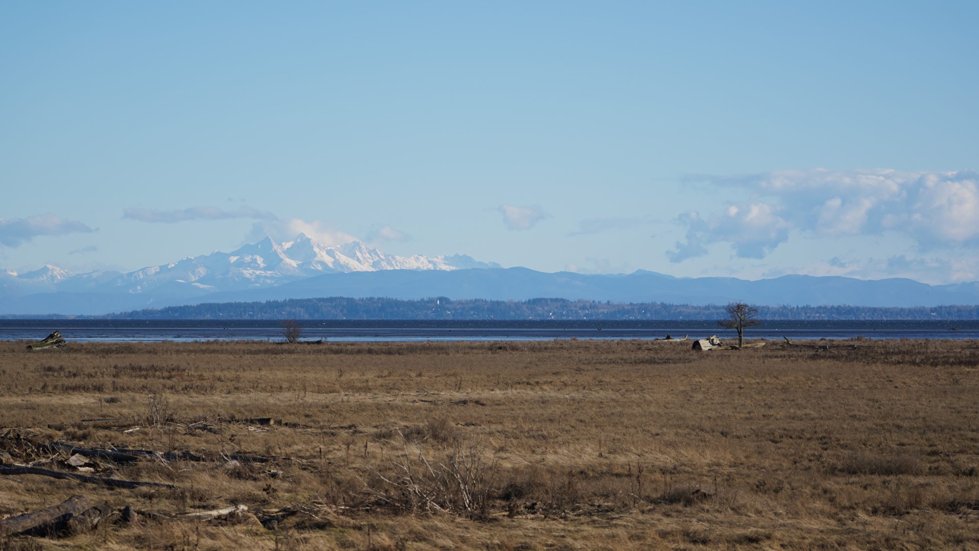 Boundary Bay