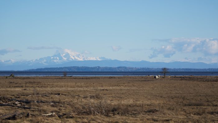 Boundary Bay