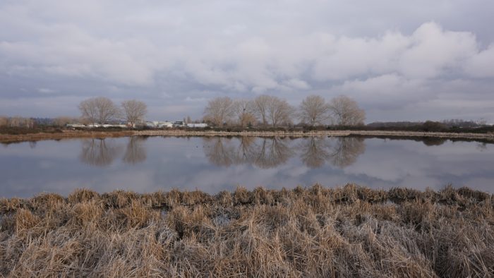 Iona Pond