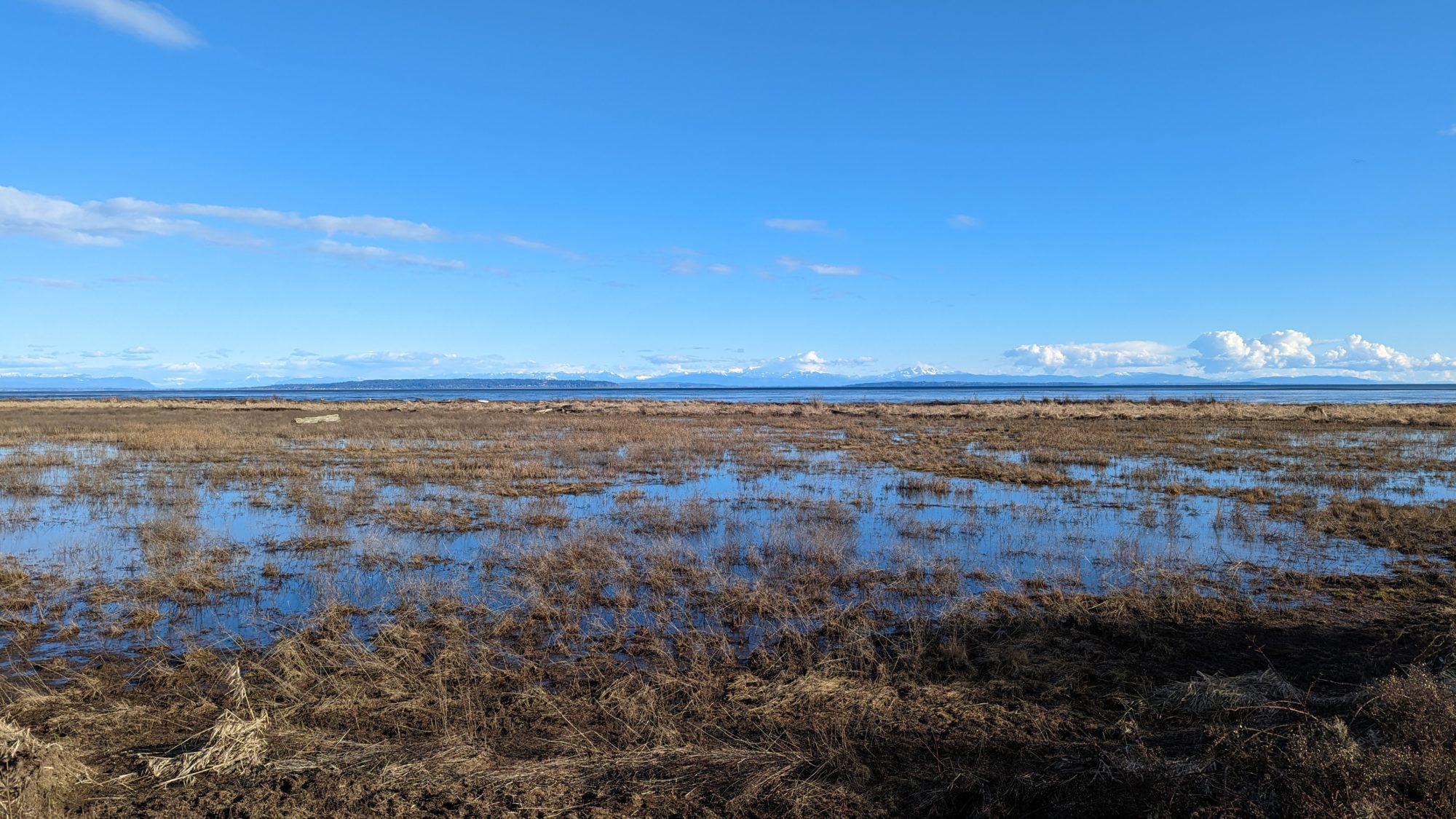 Wet landscape
